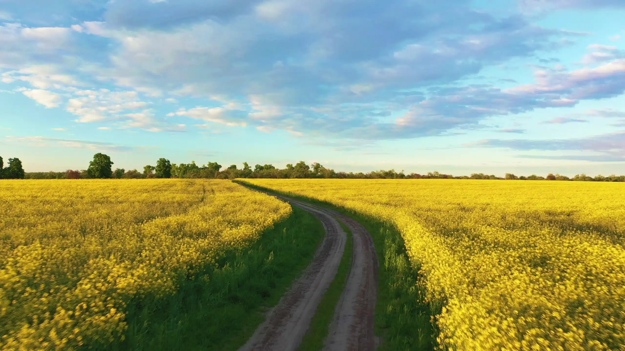 Government Taking Your Land