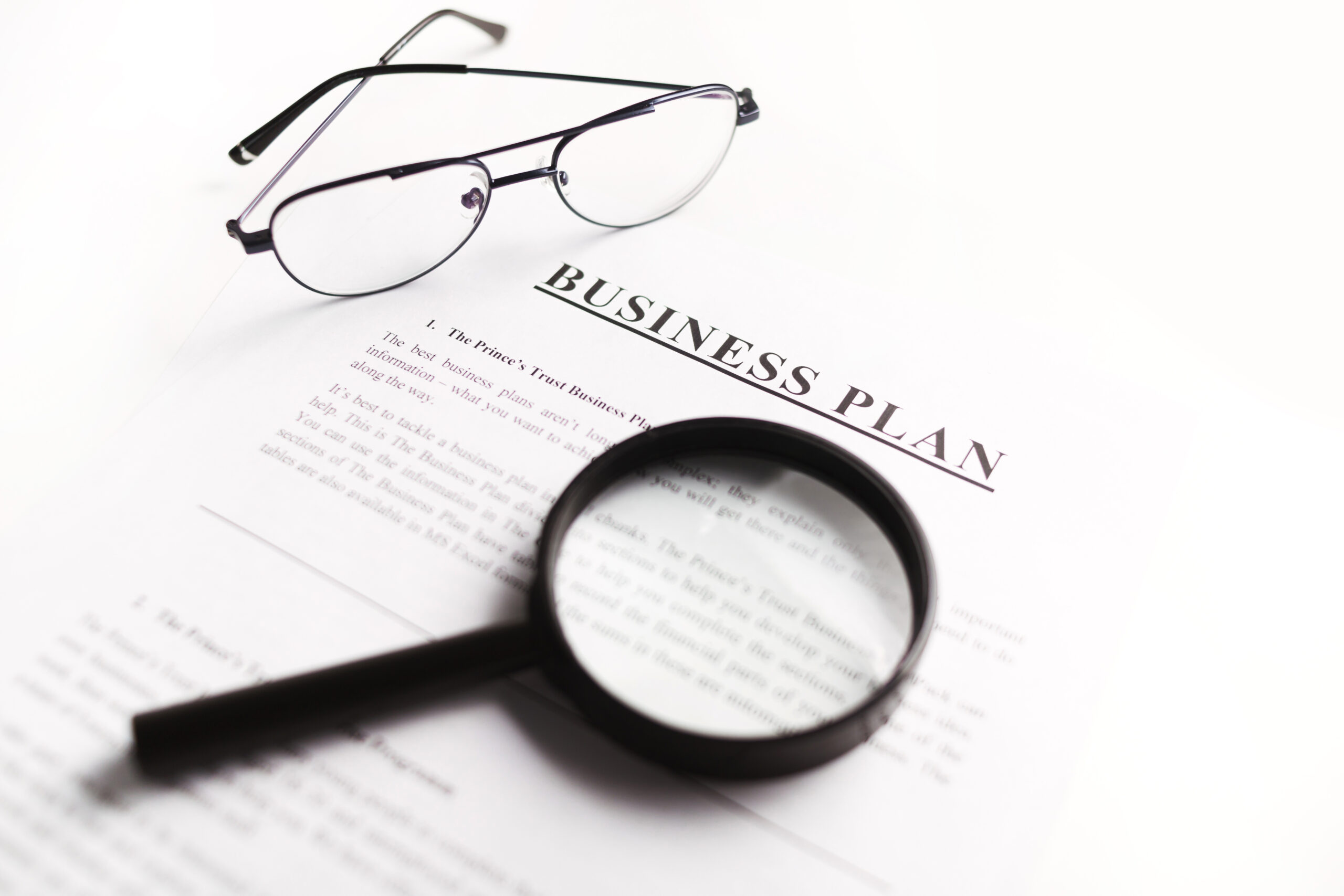 Business plan with a partneship fom a business law